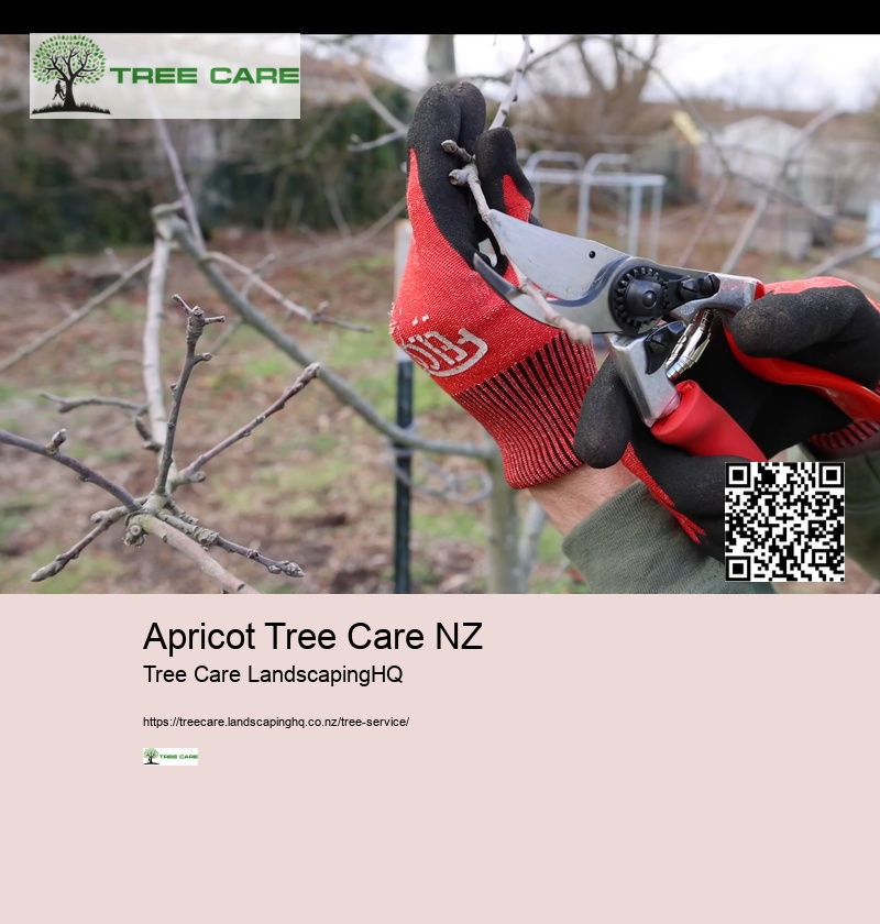 Apricot Tree Care NZ