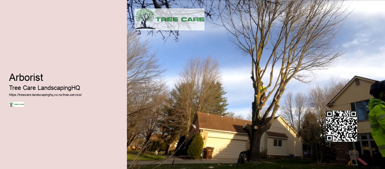 Arborists Nelson NZ