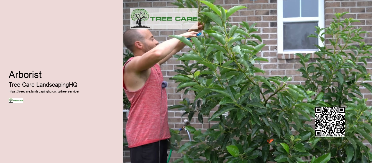 Arborist Vs Tree Trimmer