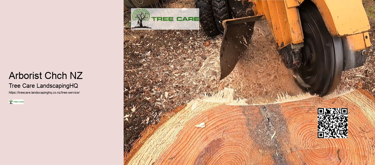 Tree Services Tauranga