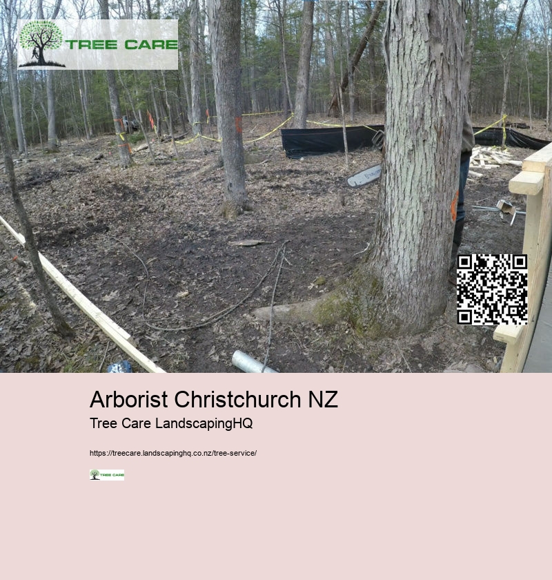 Arborist Christchurch NZ