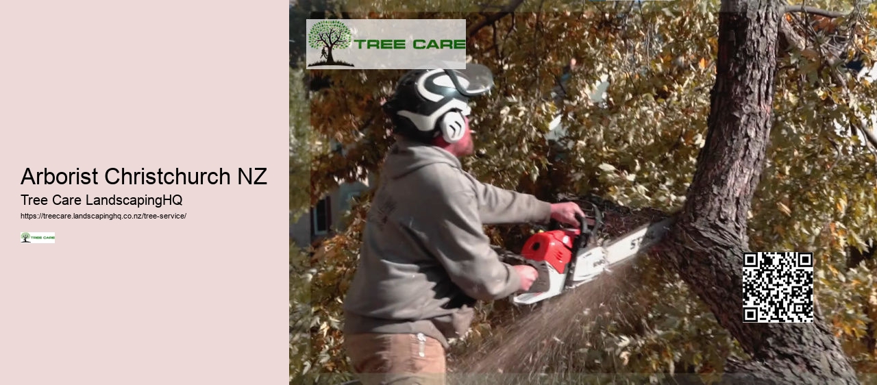 Arborist Hamilton New Zealand