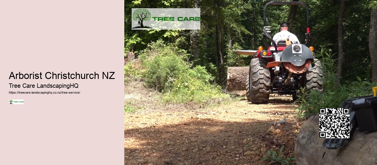 Tree Services North Shore Auckland