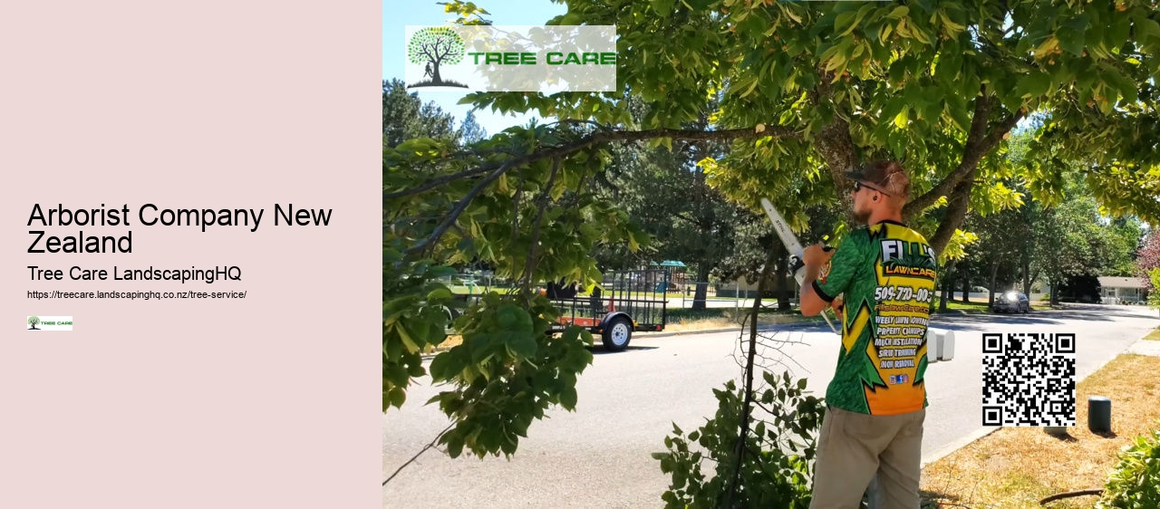 Tree Surgeon Dunedin