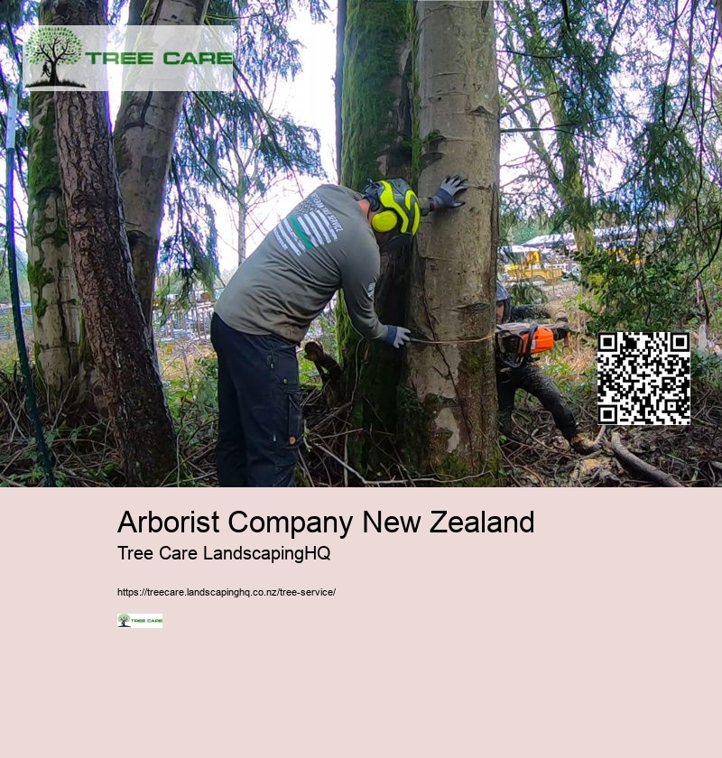 Arborist Company New Zealand