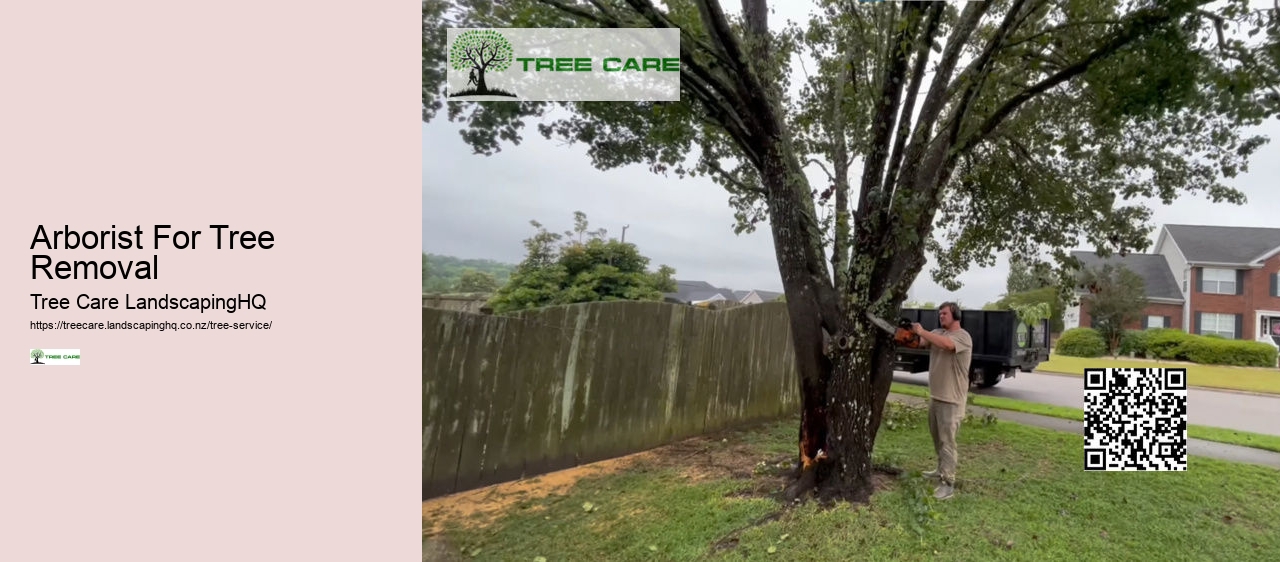 Arborist Tree Surgeon Near Me