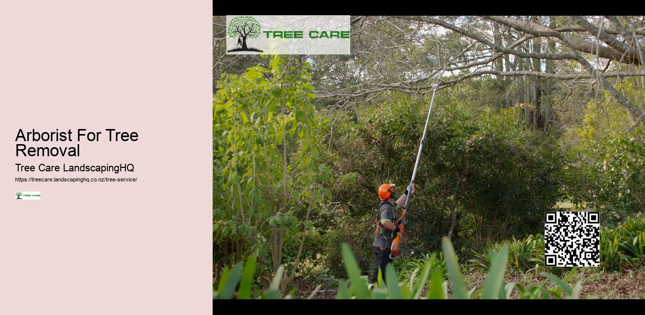 Arborist North Shore