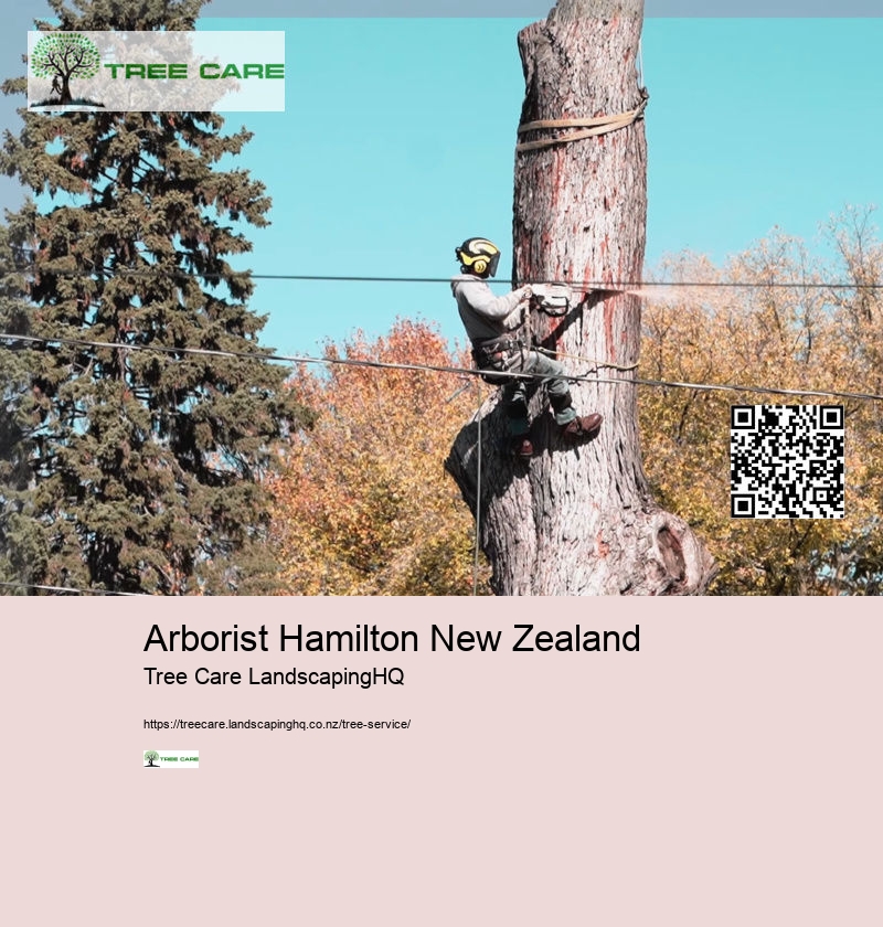 Arborist Hamilton New Zealand