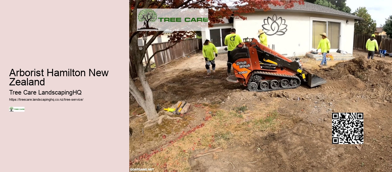 Tree Trimming South Auckland