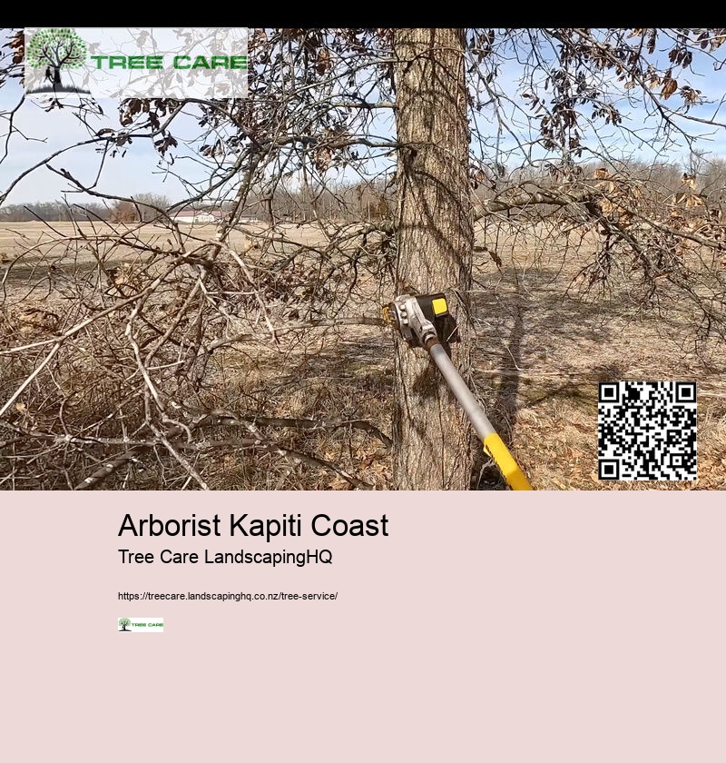 Arborist Kapiti Coast