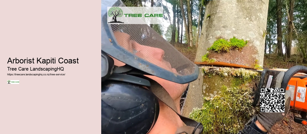 Tree Trimming NZ