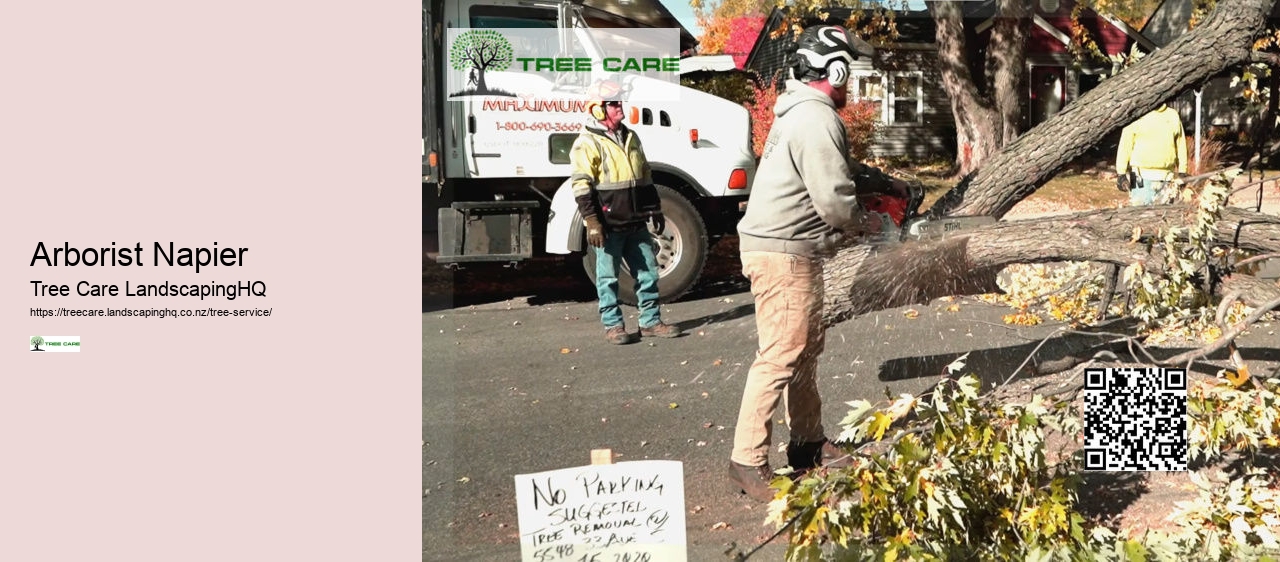 Tree Removal NZ