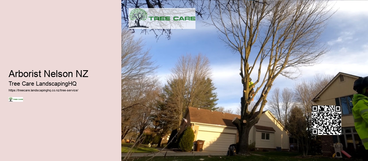 Arborist Company New Zealand