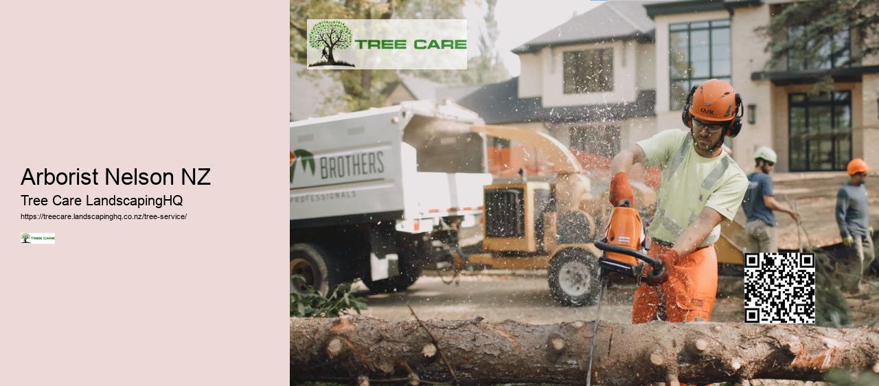 Arborist Cost Per Hour NZ