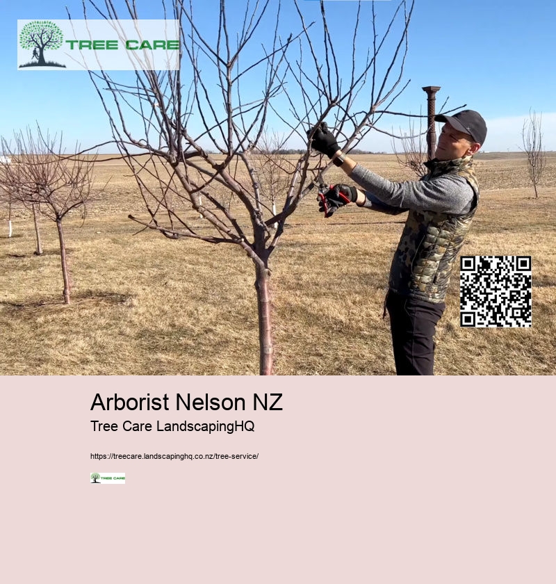 Arborist Nelson NZ