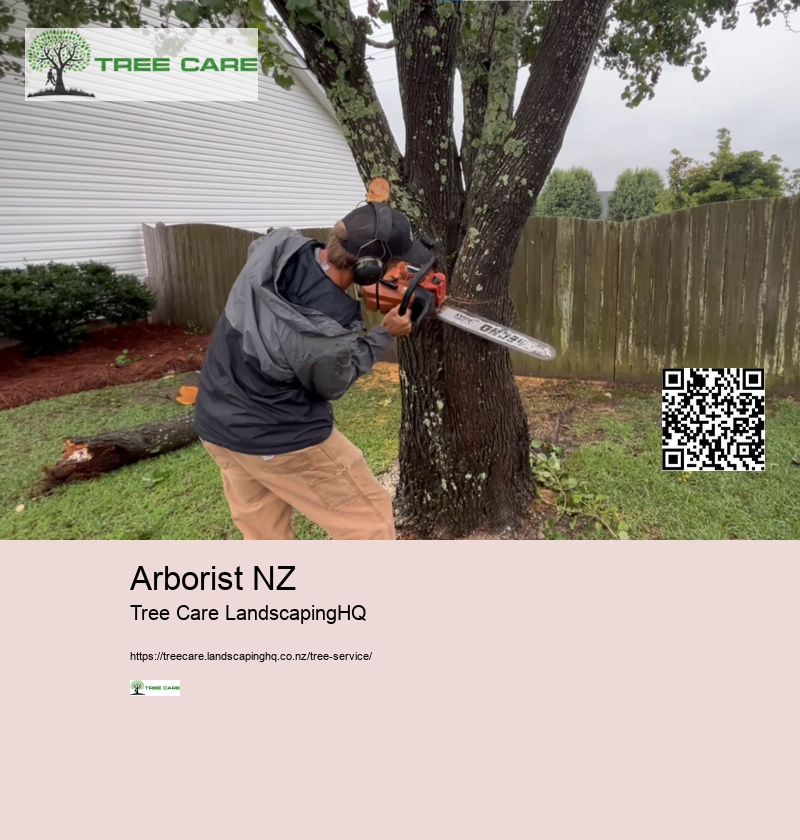 Tree Care NZ