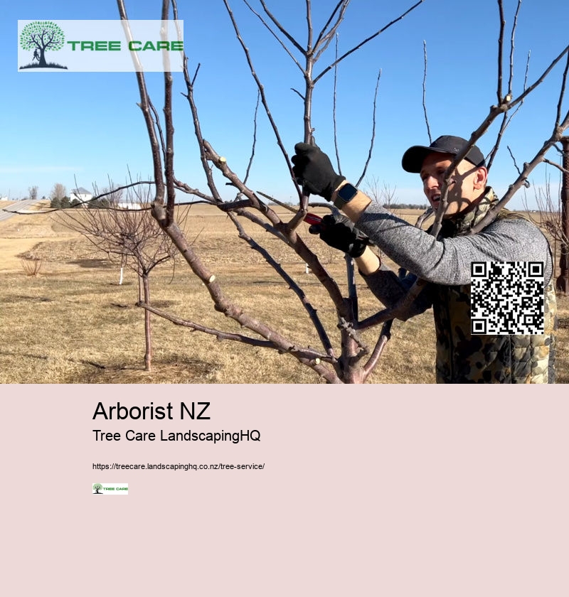 Arborist NZ