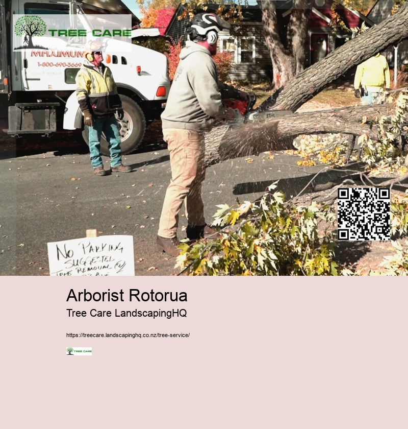 Arborist Rotorua