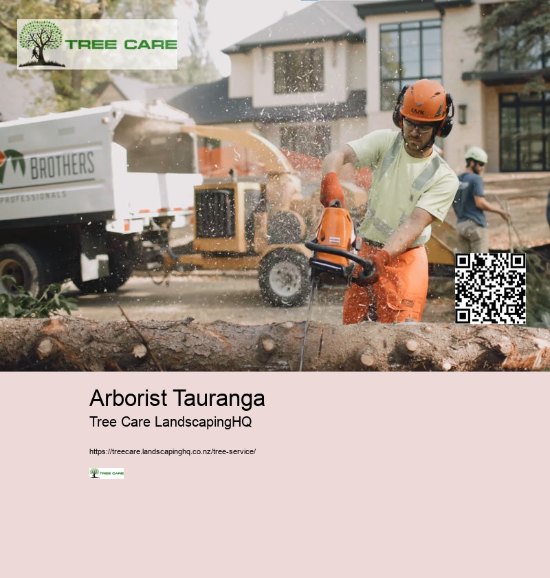 Arborist Tauranga