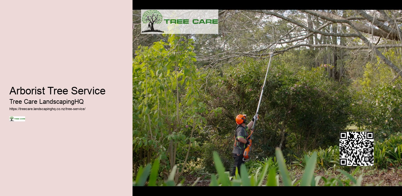 Arborist Cost NZ