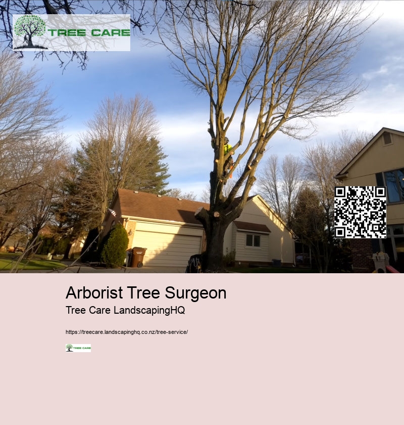 Arborist Tree Surgeon