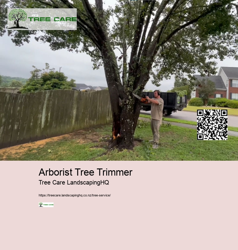 Tree Removal Christchurch NZ