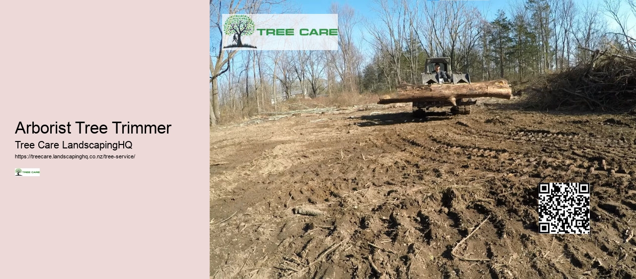 Tree Surgeon New Zealand