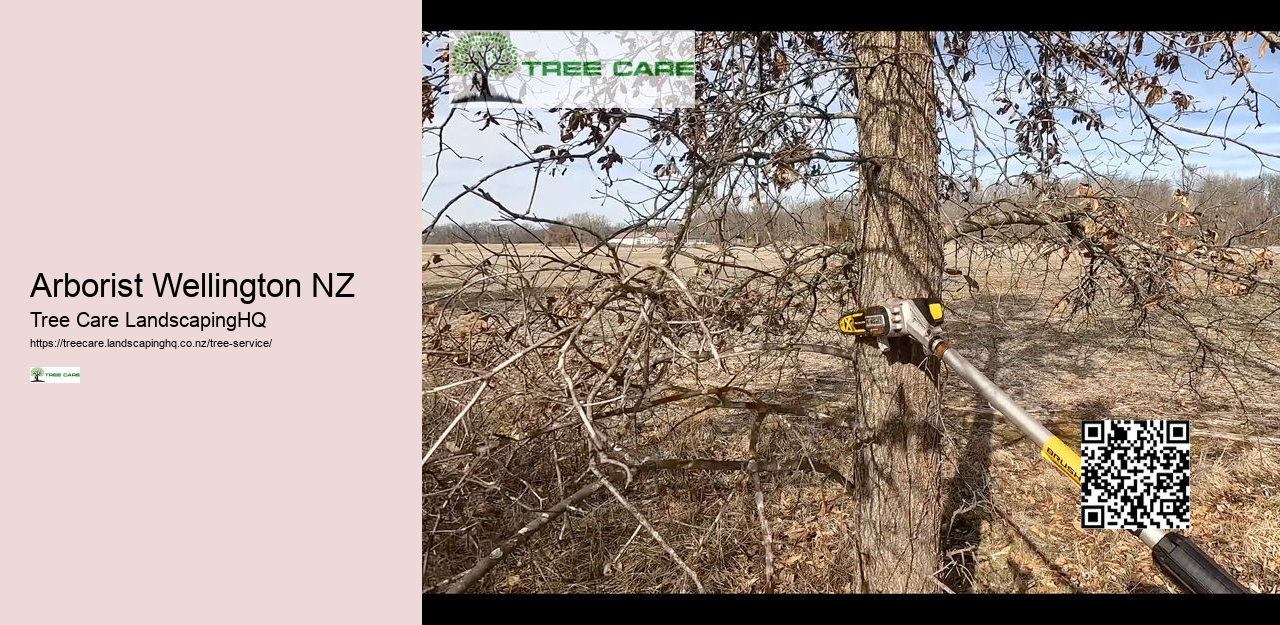 Trimming Trees In NZ