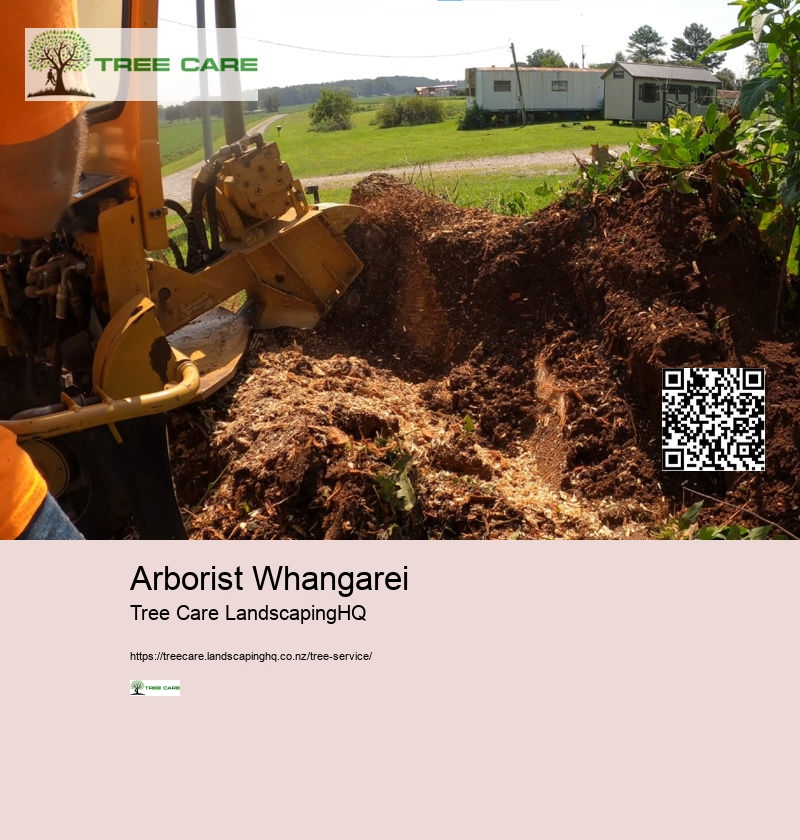 Arborist Auckland North Shore