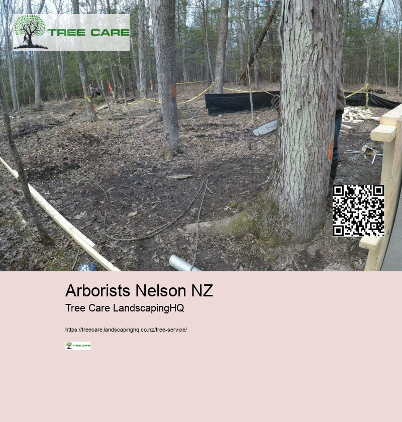 Arborists Nelson NZ