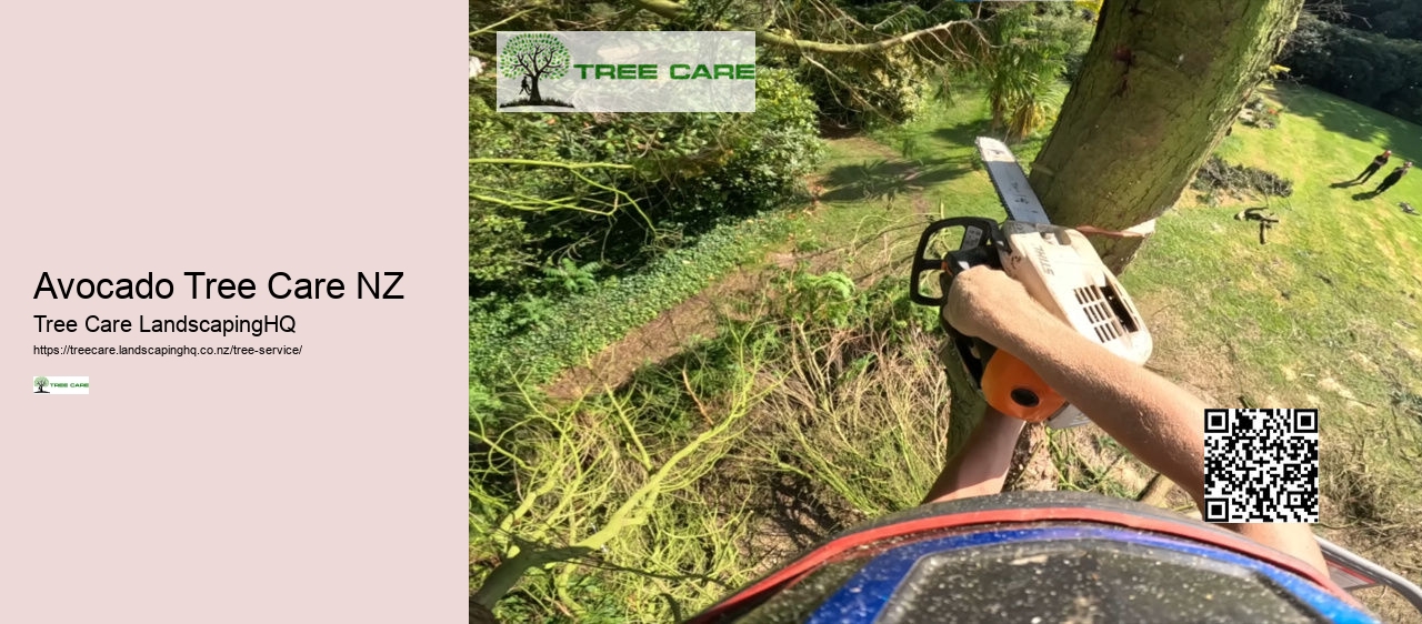 Tree Trimming Dunedin