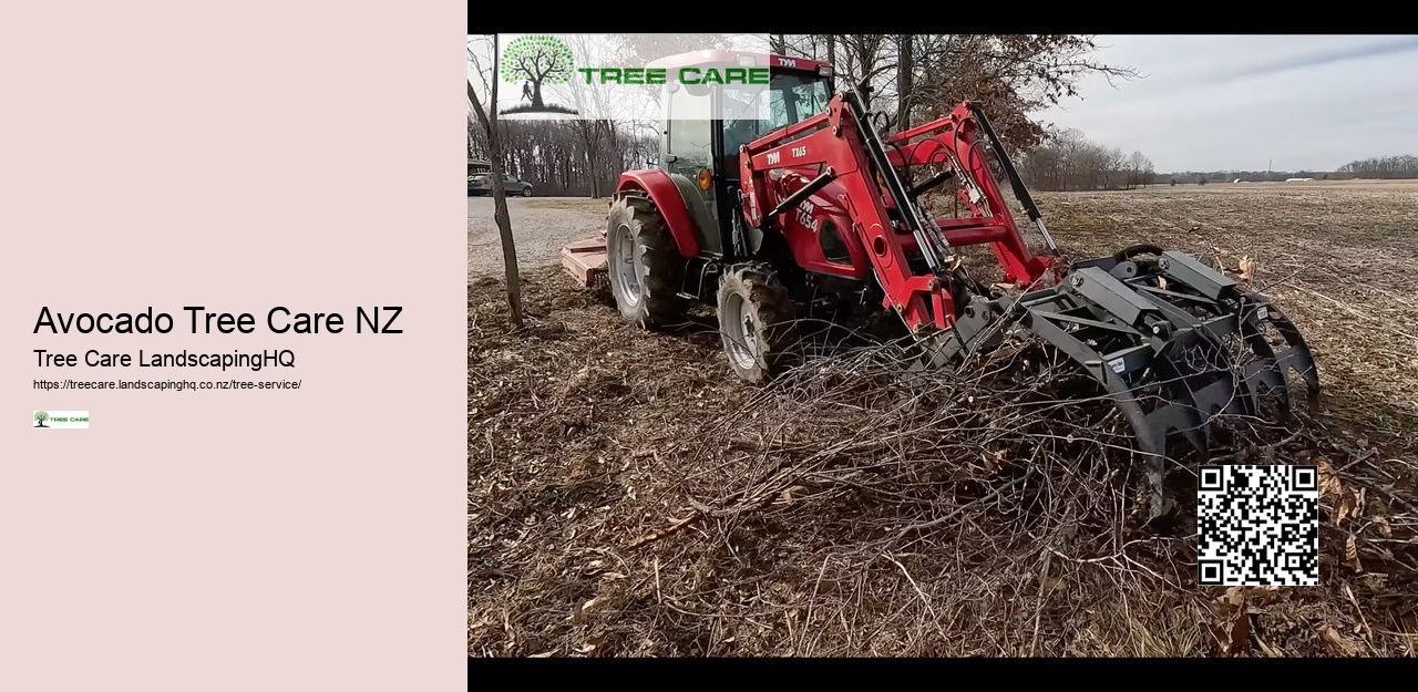 Tree Services North Shore Auckland