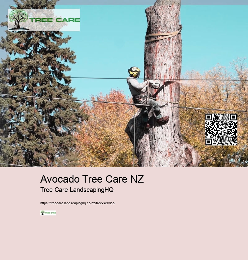 Avocado Tree Care NZ