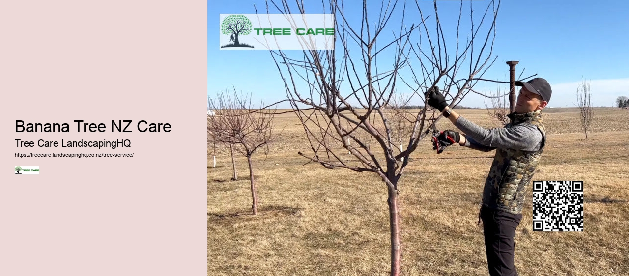 Tree Surgeon Dunedin