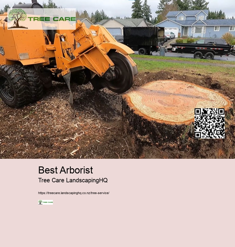 Arborist Tree Removal Cost