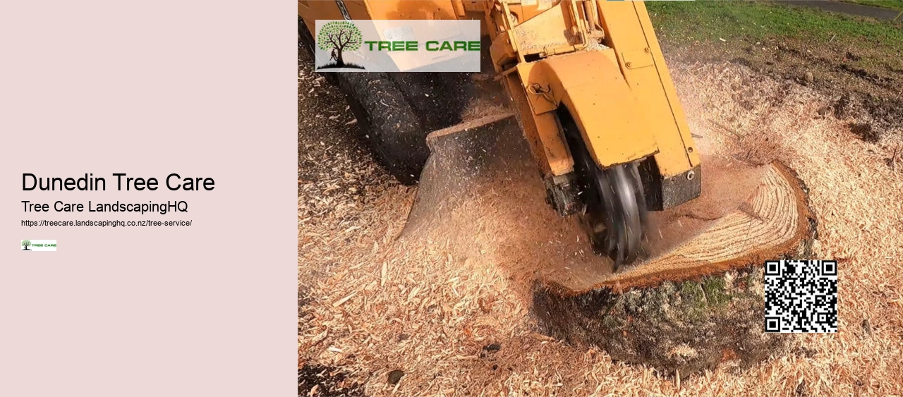 Arborist Kapiti Coast