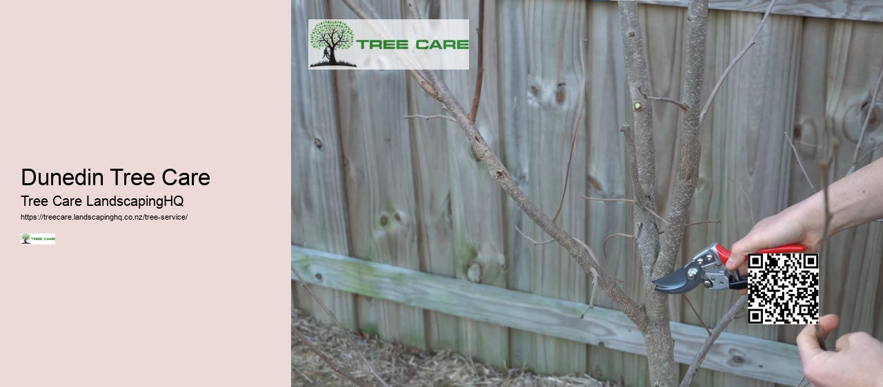 Tree Removal North Shore Auckland