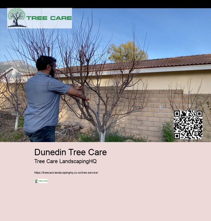 Dunedin Tree Care