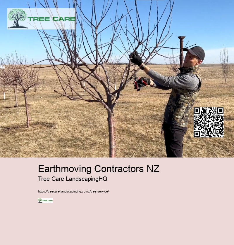 Earthmoving Contractors NZ