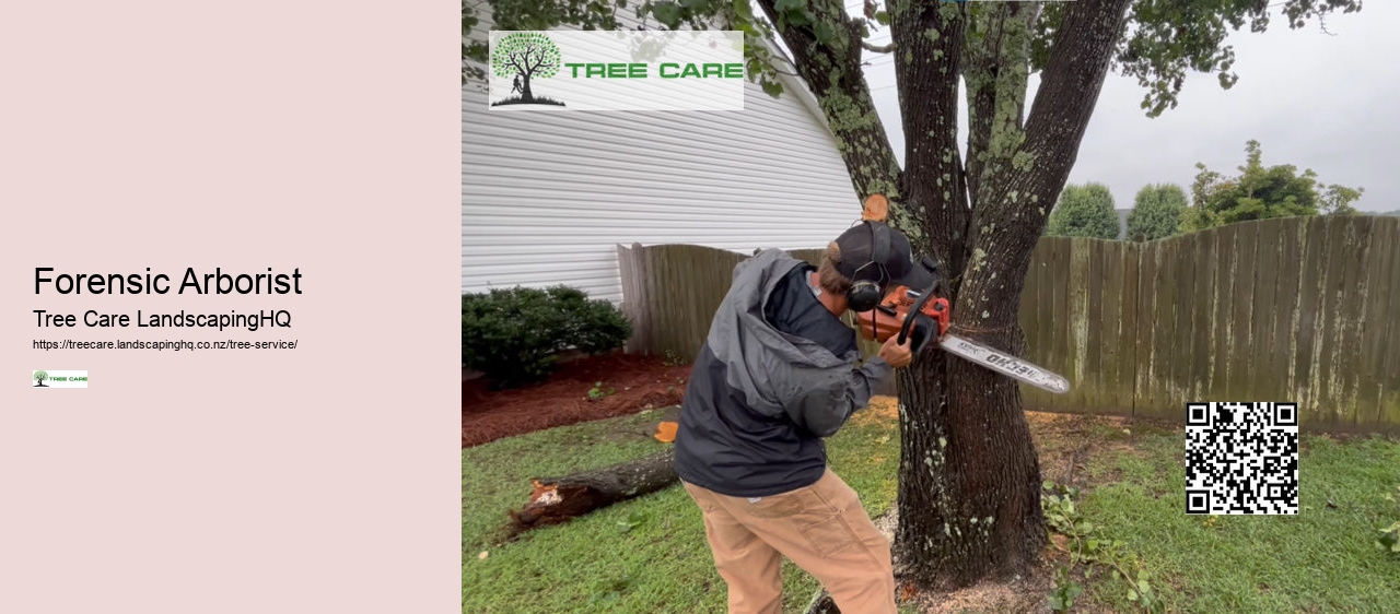 Tree Trimming NZ