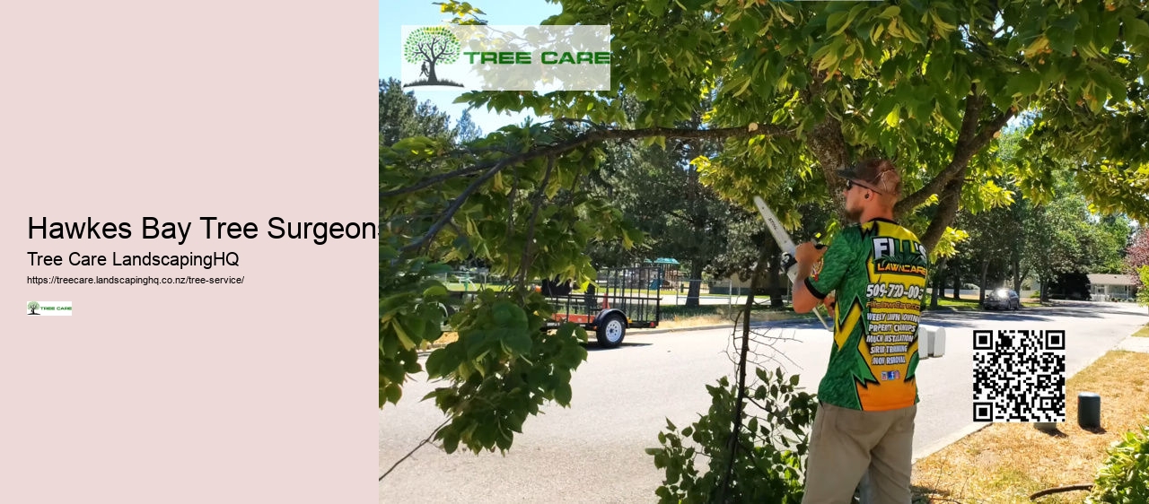 Arborist Tauranga