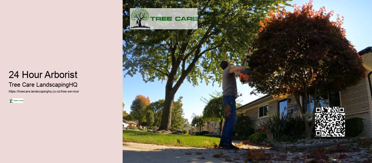 Tree Services Christchurch