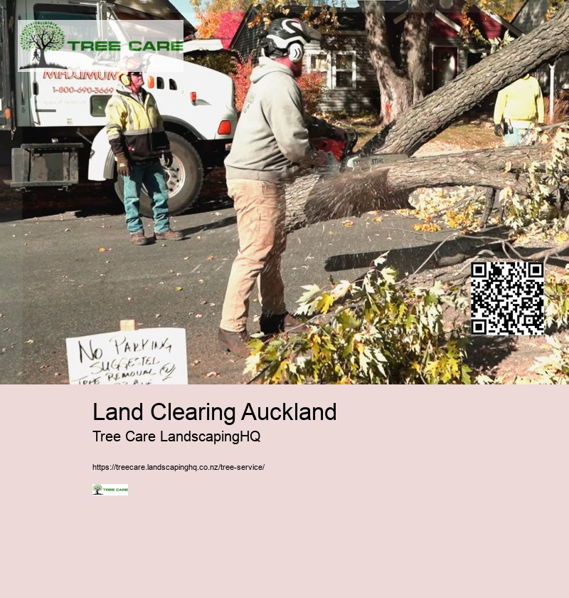 Land Clearing Auckland