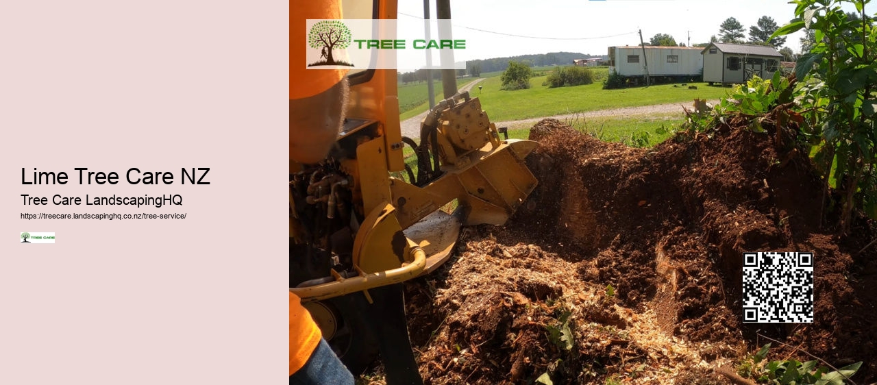 Stump Grinding Near Me