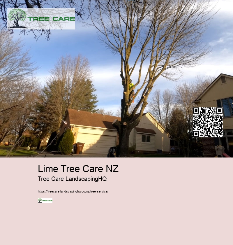 Lime Tree Care NZ