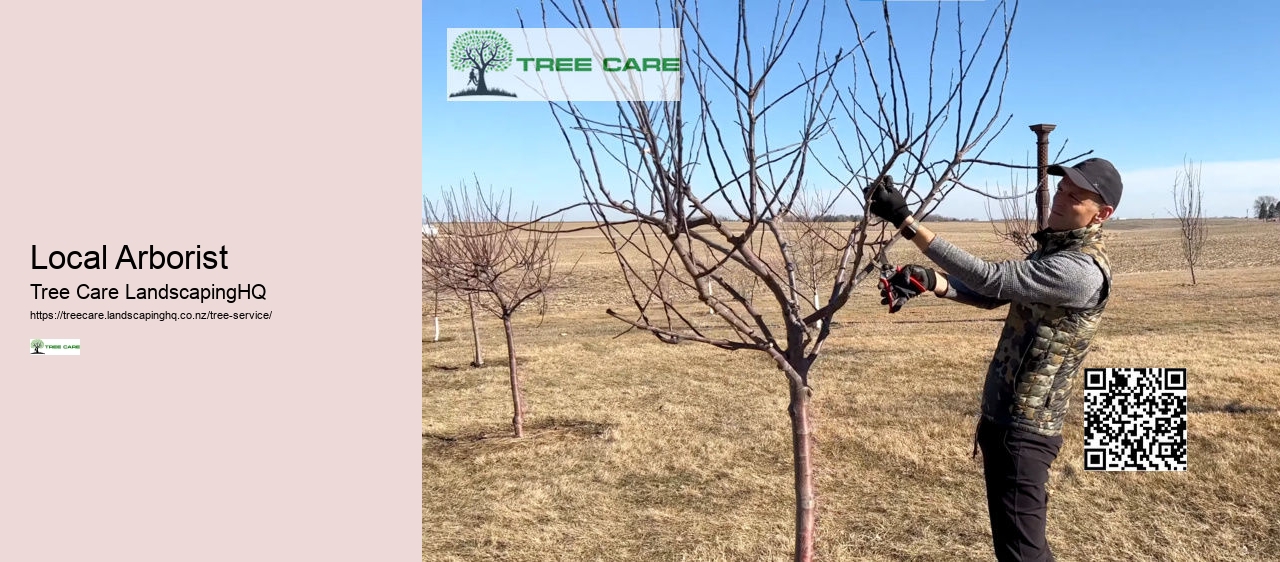 Hawkes Bay Tree Surgeons