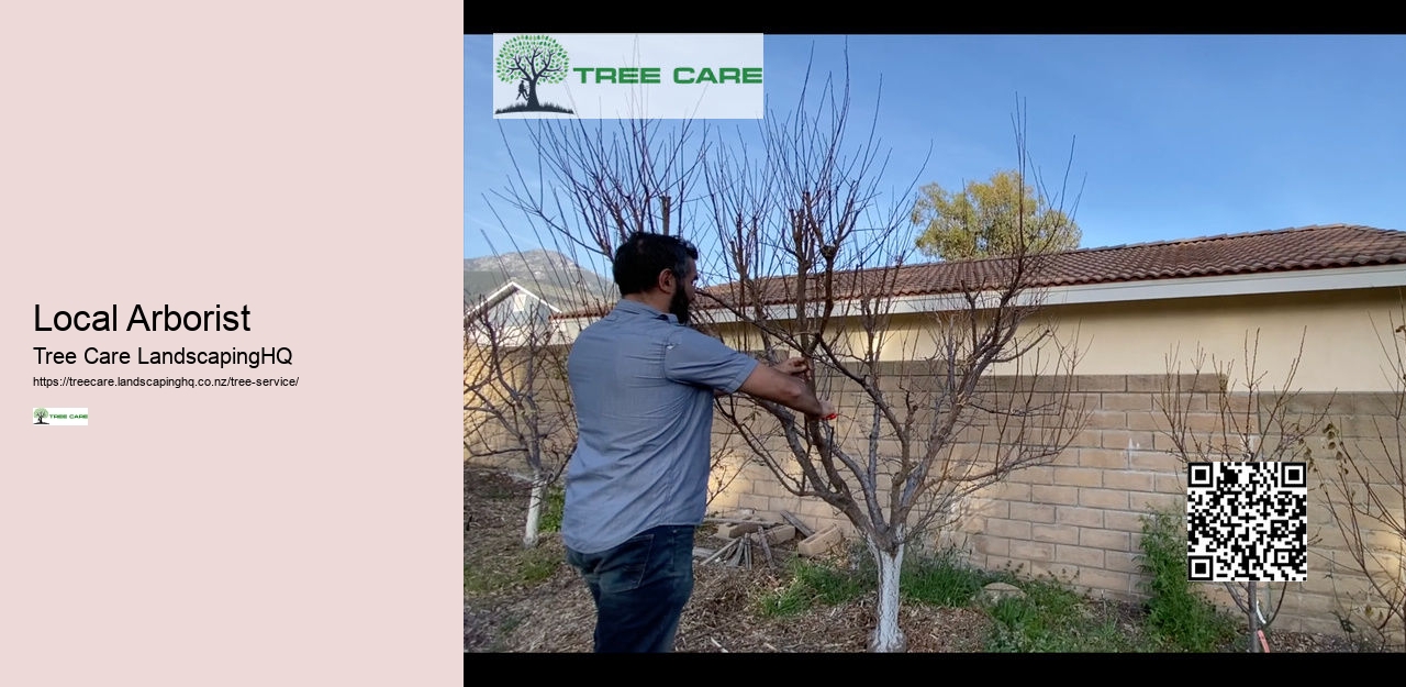 Tree Removal Queenstown NZ