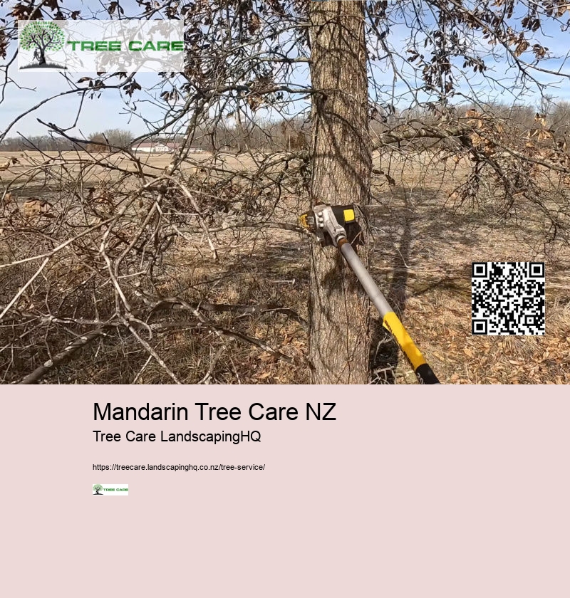 Mandarin Tree Care NZ