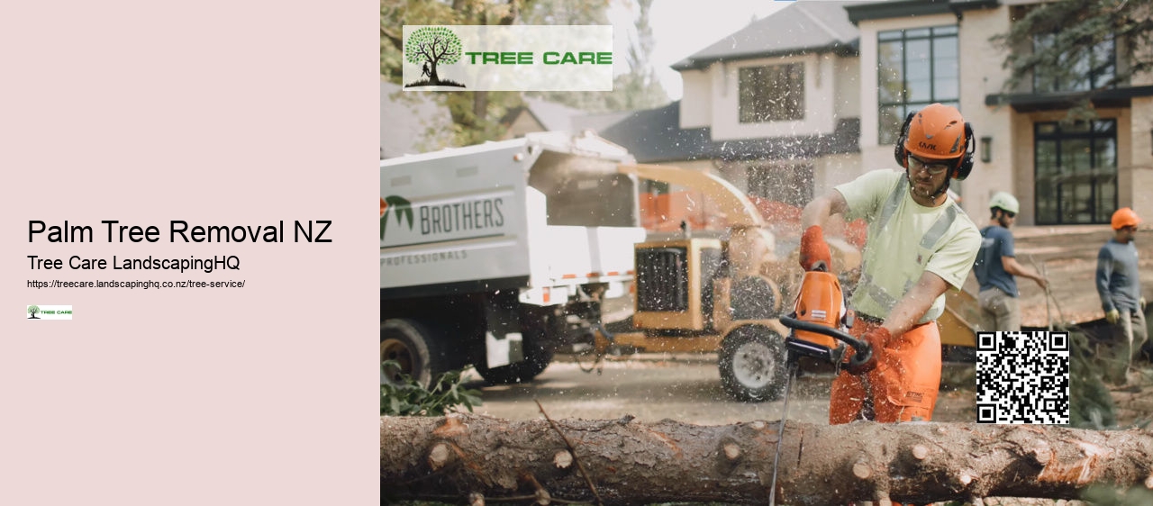 Tree Trimming And Shaping NZ