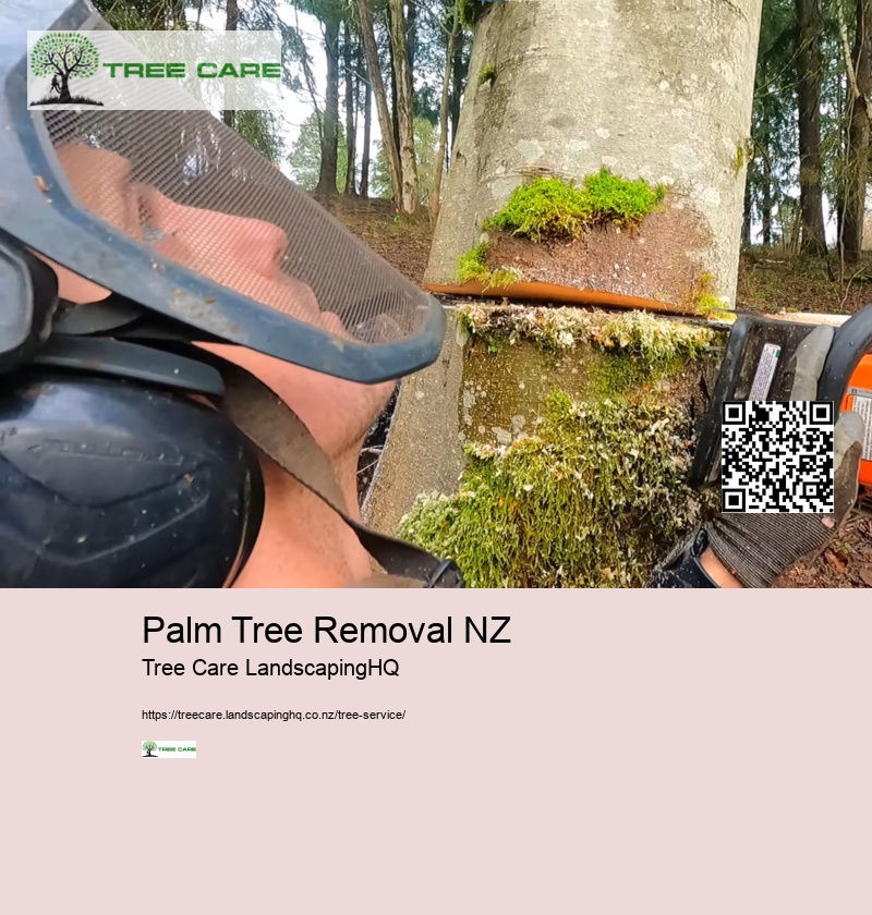 Palm Tree Removal NZ